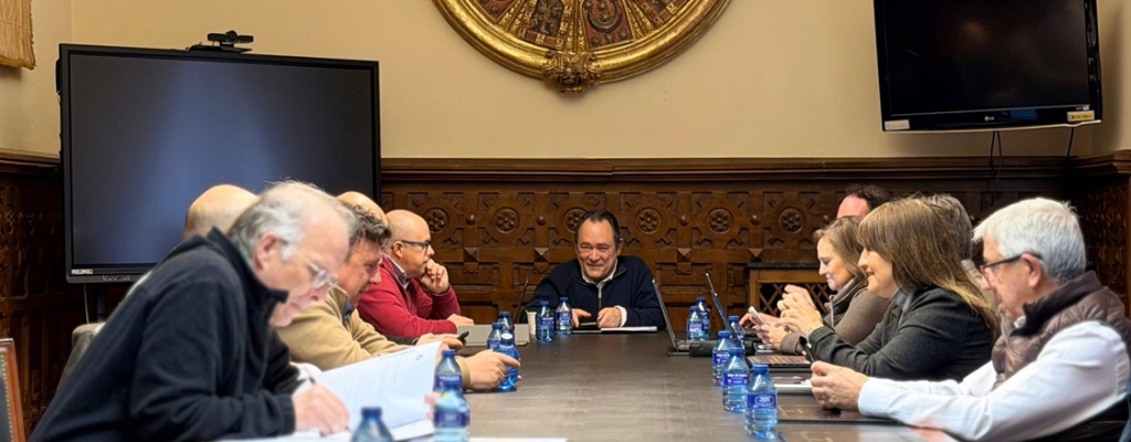 Comisión de Desarrollo Económico