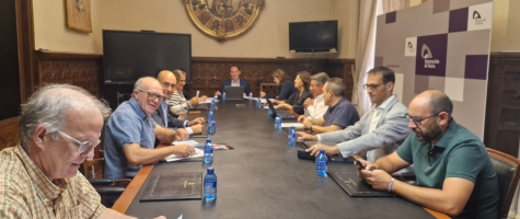 Comisión de Reto Demográfico
