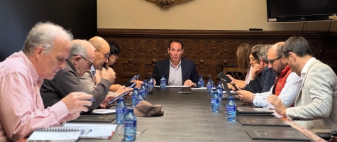 Comisión de Reto Demográfico