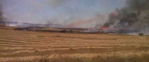 INCENDIO EN TORRUBIA