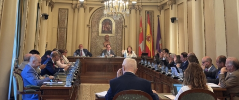 Pleno ordinario de septiembre 2025