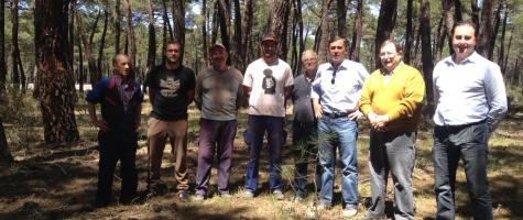 VISITA A LA COMARCA DEL IZANA SECTOR RESINERO 