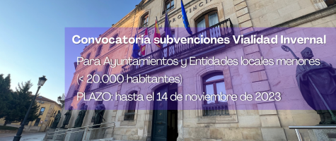 Convocatoria Subvenciones Vialidad invernal 