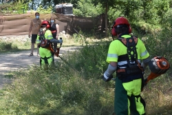 Comienzan las brigadas forestales de la Diputación provincial de Soria