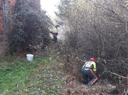 Las brigadas forestales de Diputación trabajando en Duruelo de la Sierra