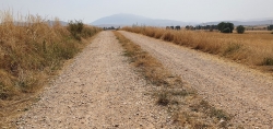 Camino soriano