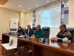 Presentación proyecto Orígenes