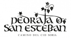 Nuevo punto de sellado Camino del Cid 