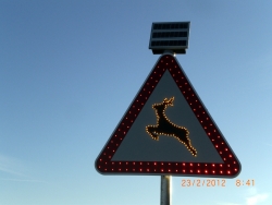 SEÑAL LEDS REFLECTANTE RIESGO ANIMALES EN LA CALZADA