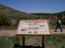 SEÑALIZACIÓN DEL GR-86 DE LA DIPUTACIÓN DE SORIA