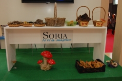 RINCÓN MICOLÓGICO EN EL STAND DE SORIA EN INTUR