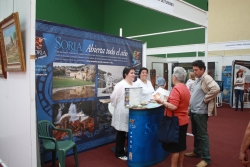 STAND DEL PATRONATO PROVINCIAL DE TURISMO DE SORIA