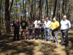 VISITA A LA COMARCA DEL IZANA SECTOR RESINERO 