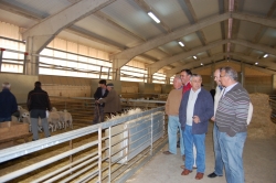 VISITA DEL PRESIDENTE DE LA DIPUTACIÓN AL CAMPO AGROPECUARIO DE SAN ESTEBAN DE GORMAZ
