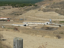 VISTA GENERAL DEL CAMPO AGROPECUARIO DE TANIÑE DONDE LA DIPUTACIÓN CRÍA LA RAZA SERRANA AUTÓCTONA DE SORIA