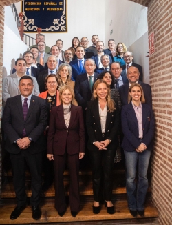 Reunión FEMP sobre Diputaciones